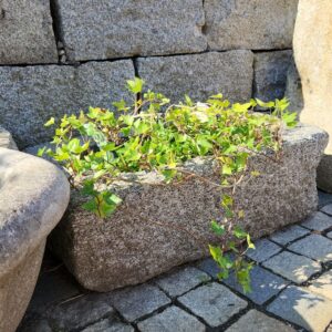 antiker Granit Pflanztrog 023