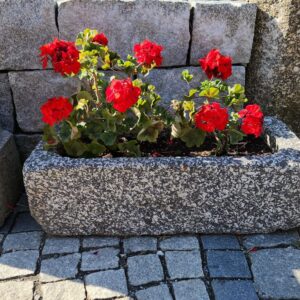 antiker Granit Pflanztrog 024